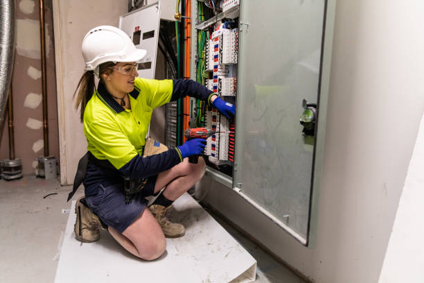 Best Electric Panel Repair  in Stanton, TX